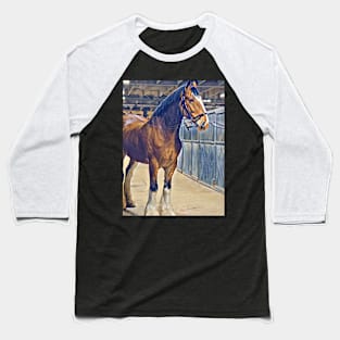 Clydesdale Baseball T-Shirt